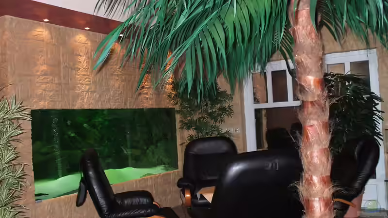 Aquarium schauanlage von o.m. (3)