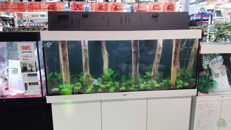 Aquarium Schaubecken / Hornbach Weserpark von Torsten Bullmahn (10)