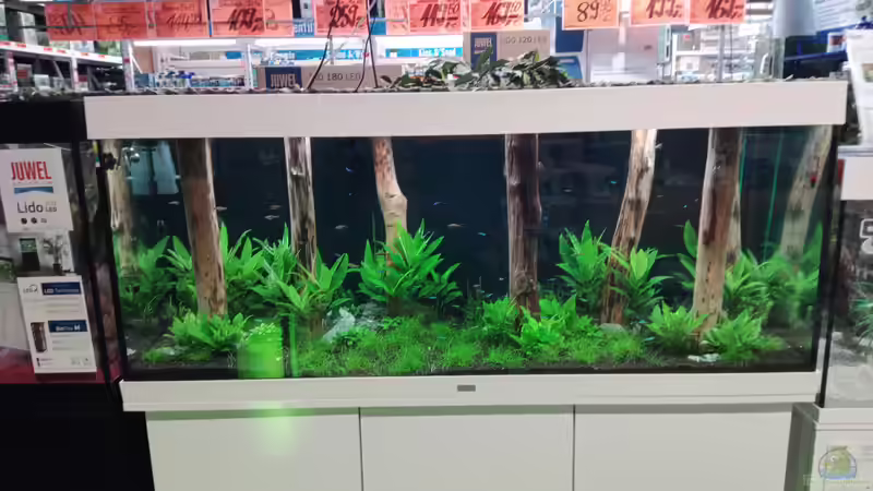 Aquarium Schaubecken / Hornbach Weserpark von Torsten Bullmahn (12)