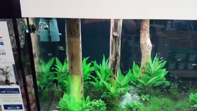 Aquarium Schaubecken / Hornbach Weserpark von Torsten Bullmahn (13)