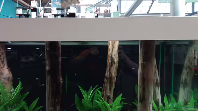 Aquarium Schaubecken / Hornbach Weserpark von Torsten Bullmahn (17)