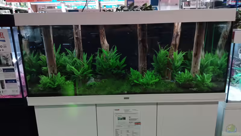 Aquarium Schaubecken / Hornbach Weserpark von Torsten Bullmahn (18)