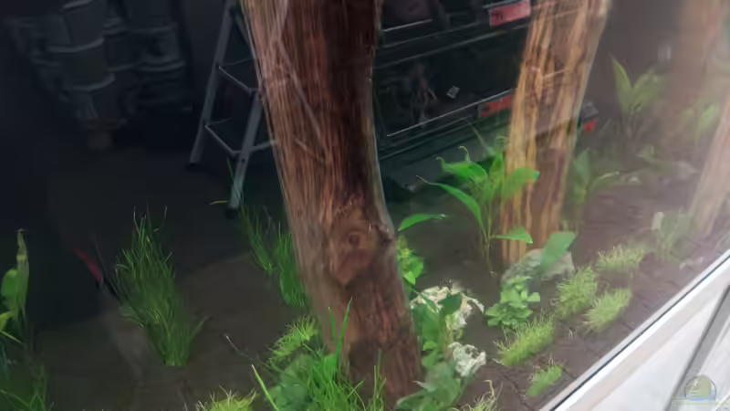 Aquarium Schaubecken / Hornbach Weserpark von Torsten Bullmahn (8)