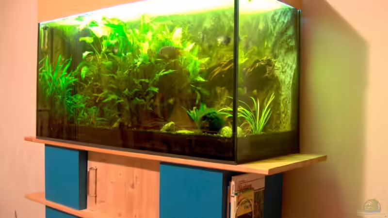 Aquarium schräg von Stefan Reinl (2)