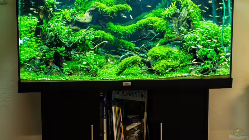 Aquarium Schulaquarium von Fredo Fuss (2)