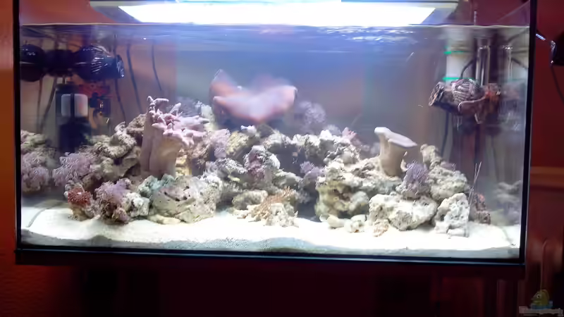 Aquarium SeaWorld 2 von Andreas Fleischer (5)