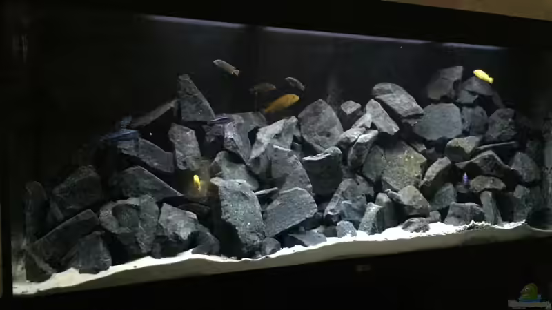 Aquarium See der Sterne von Philipp Böhme (17)