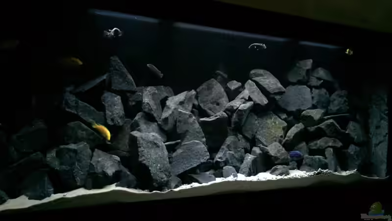 Aquarium See der Sterne von Philipp Böhme (19)