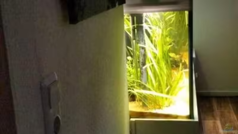 Aquarium Seitenansicht Küchenseite von Klaus R (17)