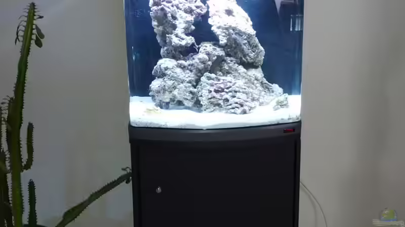 Aquarium Sera Marin LED 130 von KingTritonBS (2)