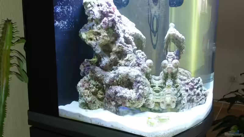 Aquarium Sera Marin LED 130 von KingTritonBS (3)