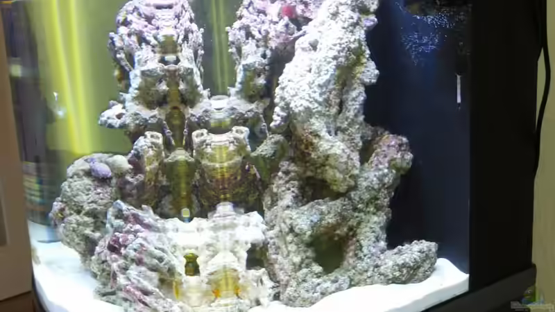 Aquarium Sera Marin LED 130 von KingTritonBS (4)