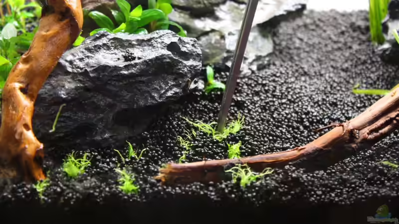 Aquarium Silence of Nature von Jaime (12)