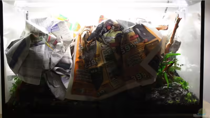 Aquarium Silence of Nature von Jaime (14)