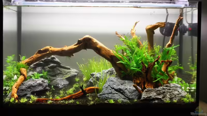 Aquarium Silence of Nature von Jaime (15)