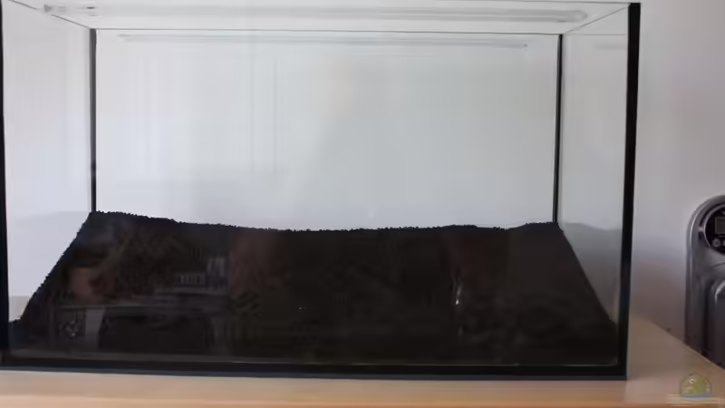 Aquarium Silence of Nature von Jaime (2)