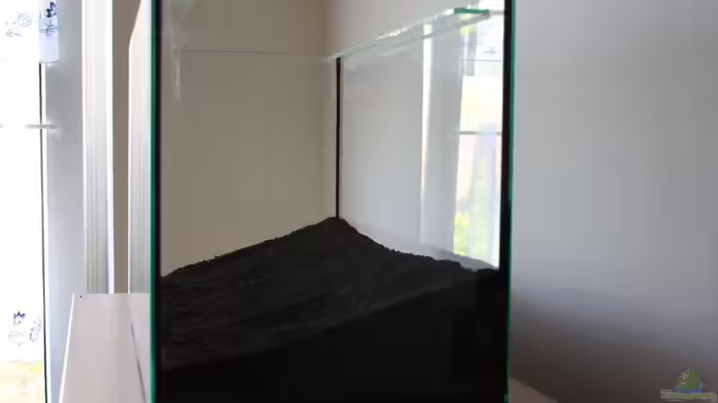 Aquarium Silence of Nature von Jaime (3)