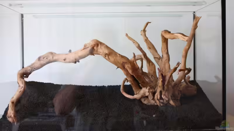 Aquarium Silence of Nature von Jaime (4)