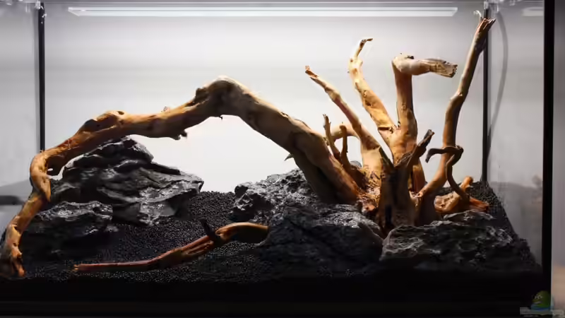 Aquarium Silence of Nature von Jaime (5)