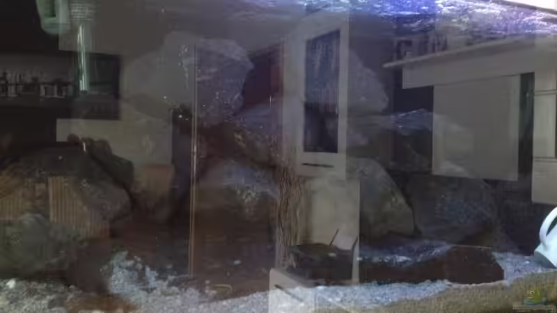 Aquarium simileri Reich von similis (4)