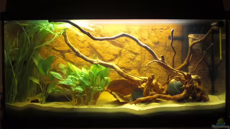 Aquarium slim line von Ben Mücke (2)