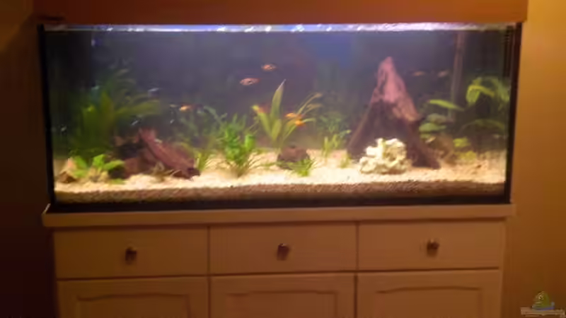 Aquarium Spirit of Inspiration! von ActionJackson (2)