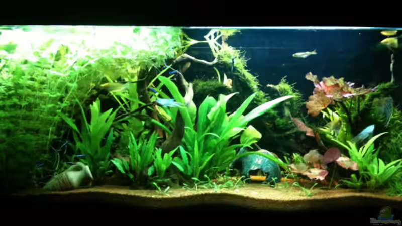 Aquarium Stand 24-04-10_vorne von Flevus (8)