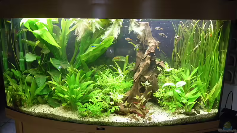 Aquarium Stand 4.1.2011 von Bazzi (5)