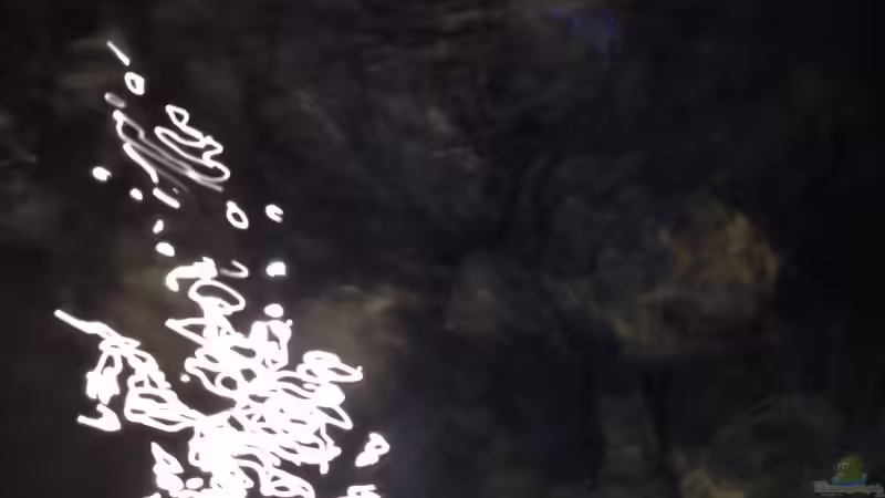 Aquarium stone bay area (closed due!!!) von der Steirer (17)