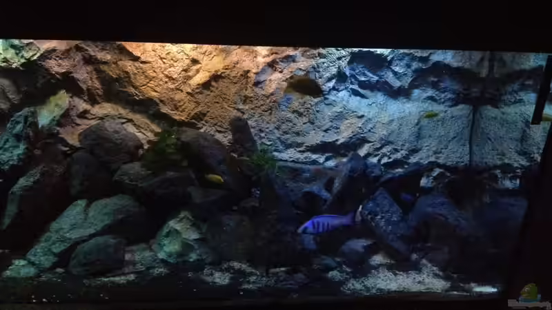 Aquarium stone bay area (closed due!!!) von der Steirer (23)