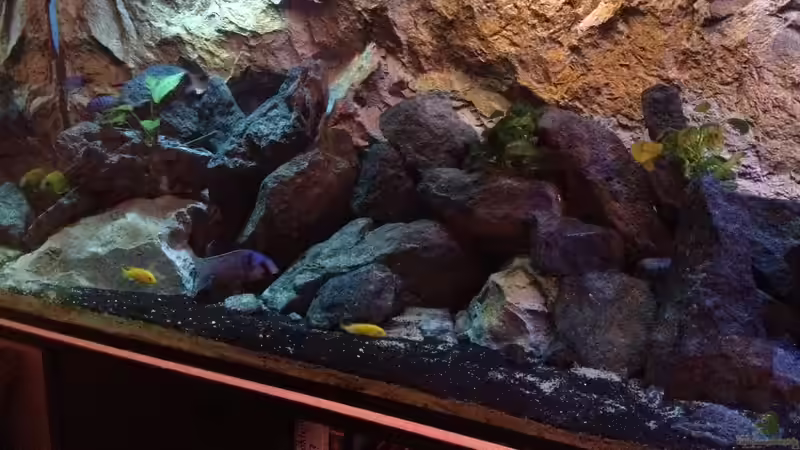 Aquarium stone bay area (closed due!!!) von der Steirer (27)