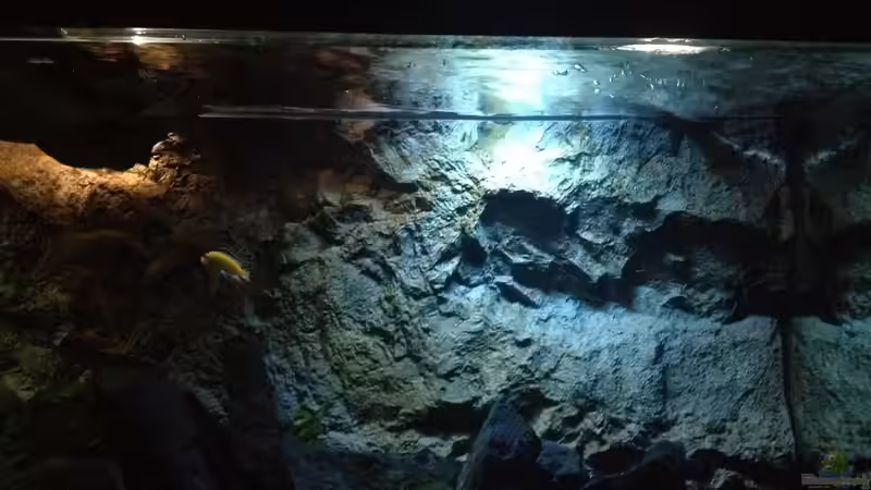 Aquarium stone bay area (closed due!!!) von der Steirer (33)