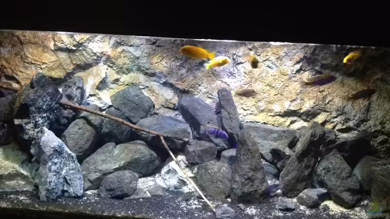 Aquarium stone bay area (closed due!!!) von der Steirer (48)