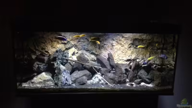 Aquarium stone bay area (closed due!!!) von der Steirer (49)