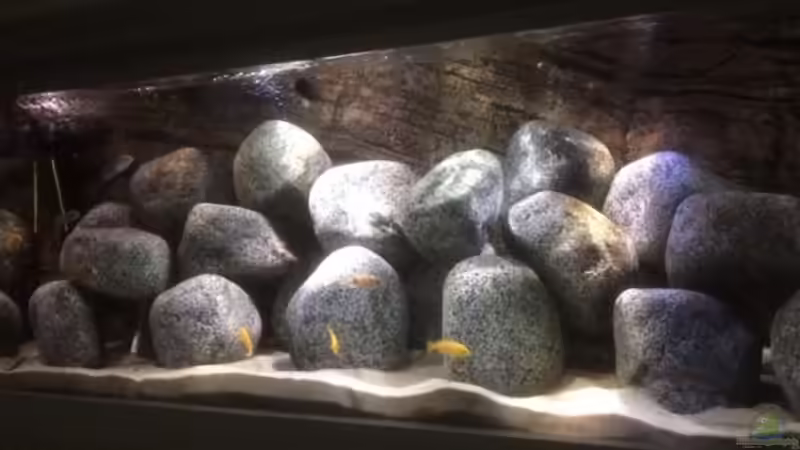 Aquarium Stone biotope of Mbunas von Marius88 (2)