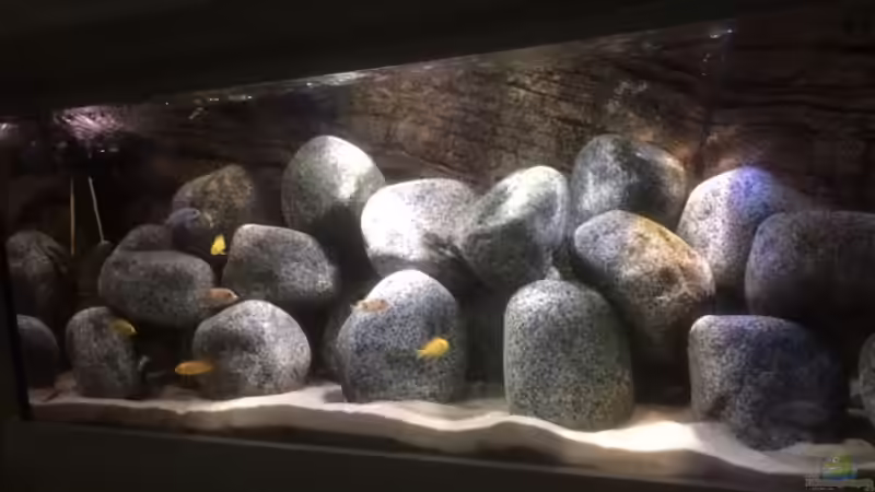 Aquarium Stone biotope of Mbunas von Marius88 (3)