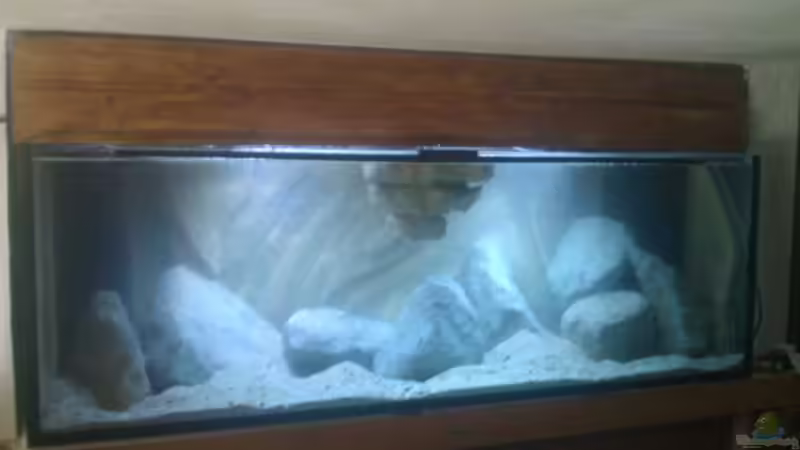 Aquarium Stones and Shells von Julien Preuß (2)