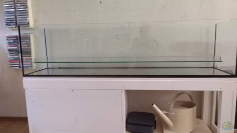 Aquarium Strömungsbecken von pacho (21)