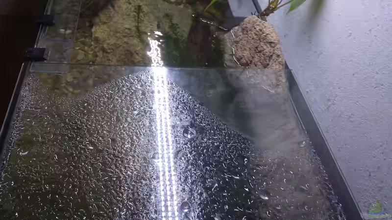 Aquarium Strömungsbecken von pacho (5)