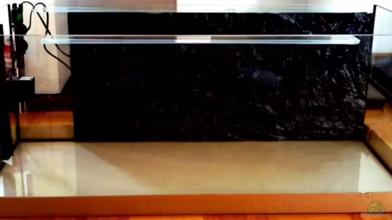 Aquarium Südamerika 160L von Mertin (2)