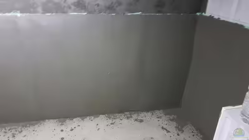 Aquarium Südamerika 4.0 von Thomas Michel (24)