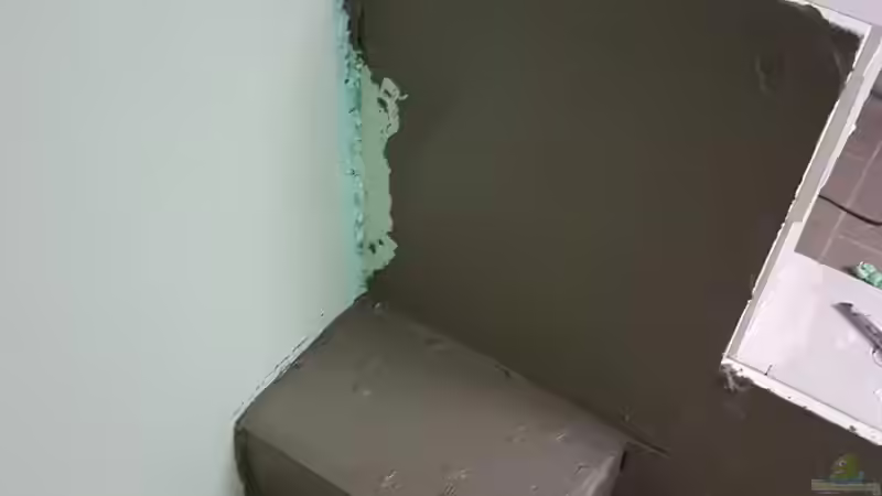 Aquarium Südamerika 4.0 von Thomas Michel (25)