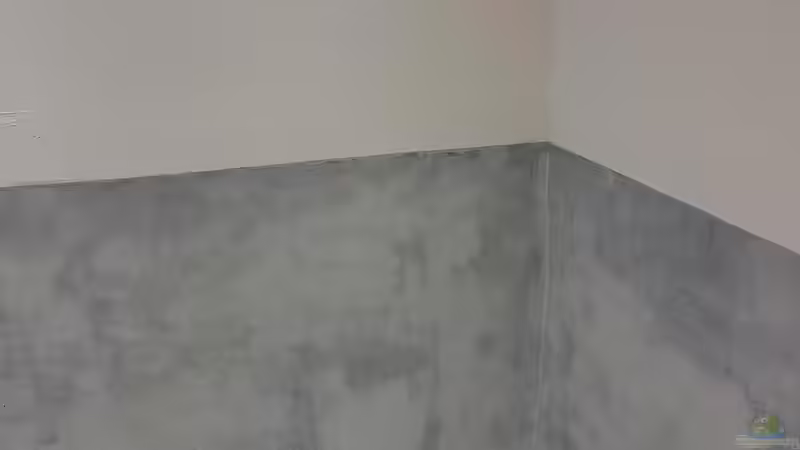 Aquarium Südamerika 4.0 von Thomas Michel (34)