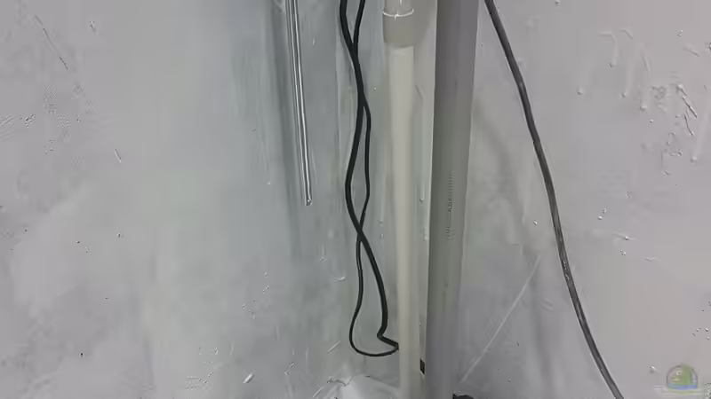 Aquarium Südamerika 4.0 von Thomas Michel (45)