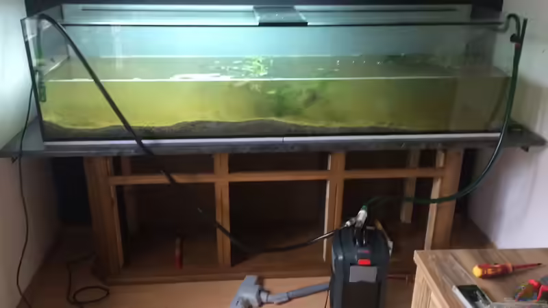 Aquarium Südamerika 500L von Ragner (34)