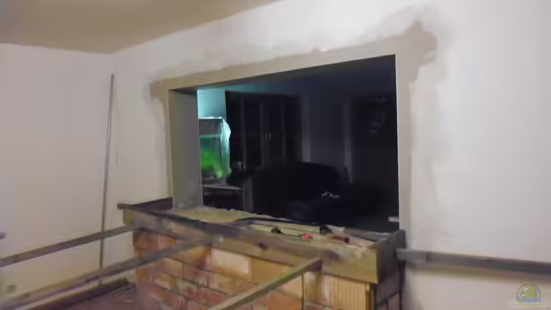 Aquarium Südamerika Gesellschaftsbecken von Tobias Zelzer (13)