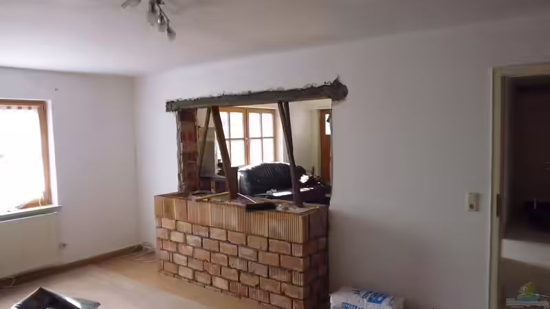 Aquarium Südamerika Gesellschaftsbecken von Tobias Zelzer (17)