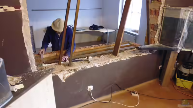 Aquarium Südamerika Gesellschaftsbecken von Tobias Zelzer (18)