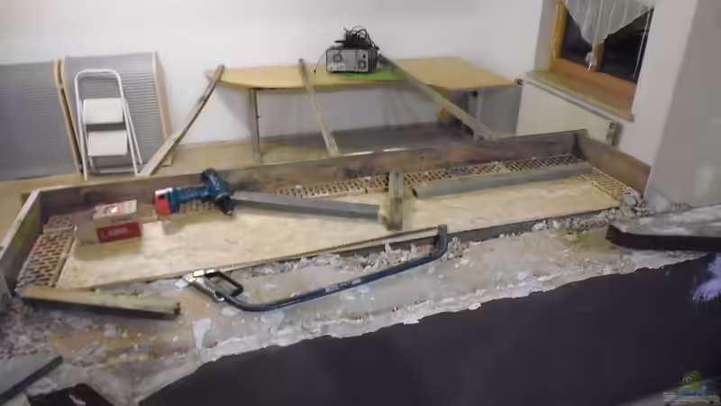 Aquarium Südamerika Gesellschaftsbecken von Tobias Zelzer (19)