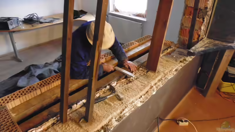 Aquarium Südamerika Gesellschaftsbecken von Tobias Zelzer (20)